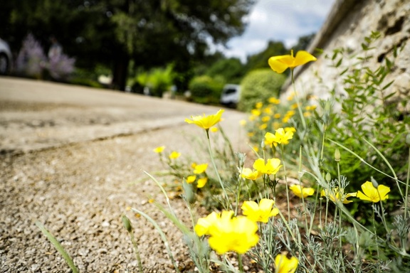 Aire de pique-nique lavoir des Touches
