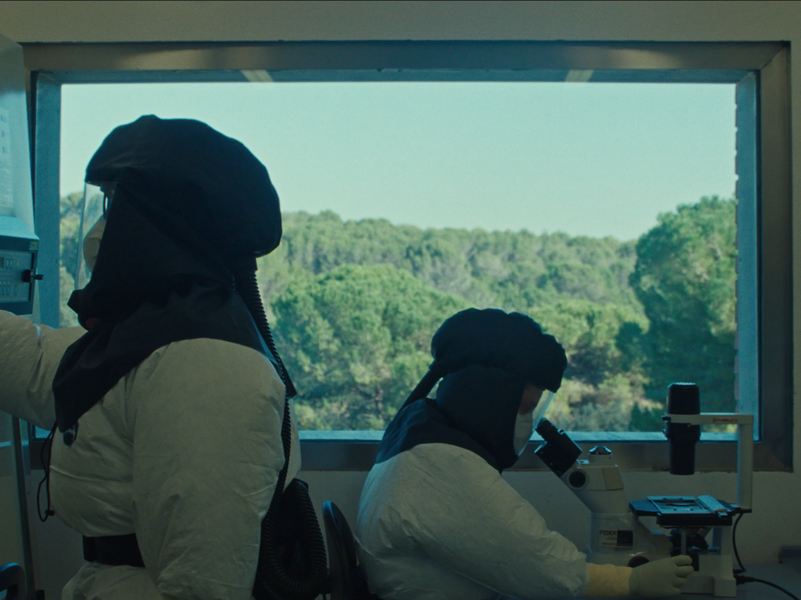 Extrait du film Fauna