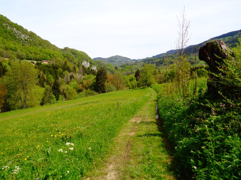 Sentier de randonnée - L'herbette depuis Pouilly