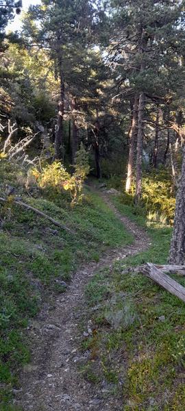 N°32 Circuit Enduro : La Saint-Pierre_Valderoure