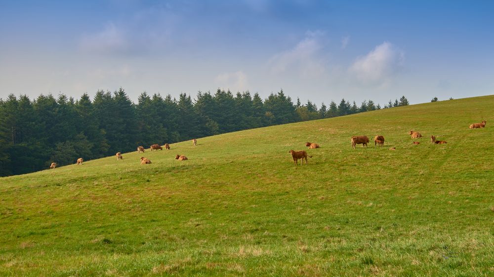 GAEC des Mouret