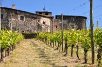 Aux ori 'vignes de Montverdun - visite gourmande_Montverdun
