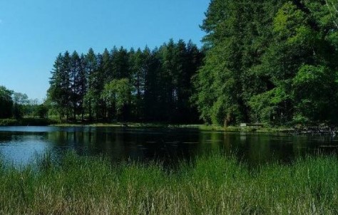 Les Etangs de Montrollet