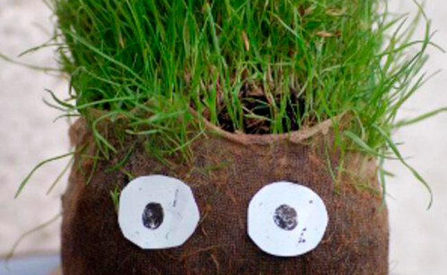 Atelier - Petite graine deviendra verte