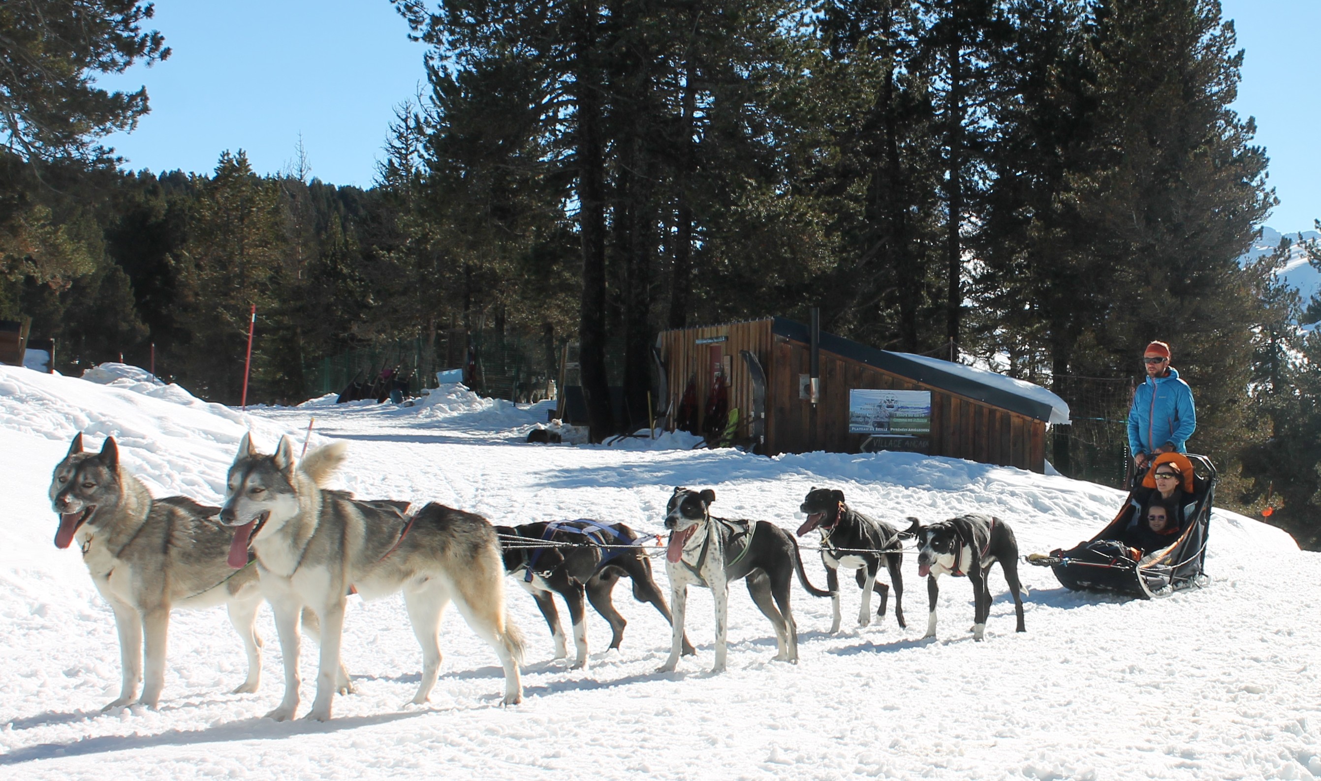 Balades en chiens de traîneaux avec La Grange des Huskies