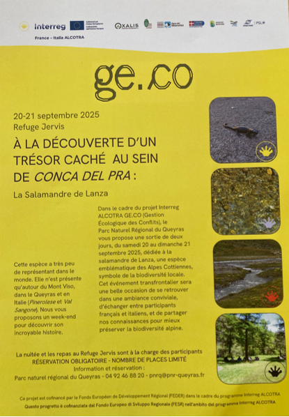 A la découverte d'un trésor caché au sein de Conca del Pra : la Salamandre de Lanza_Abriès-Ristolas - © PNRQ A la découverte d'un trésor caché au sein de Conca del Pra : la Salamandre de Lanza_Abriès-Ristolas - © PNRQ