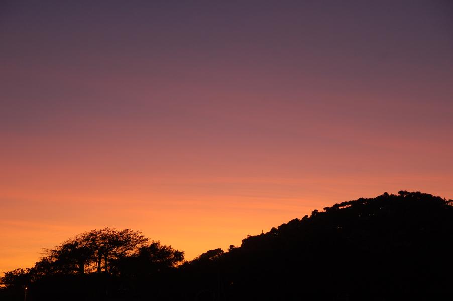 Midi Festival_Hyères