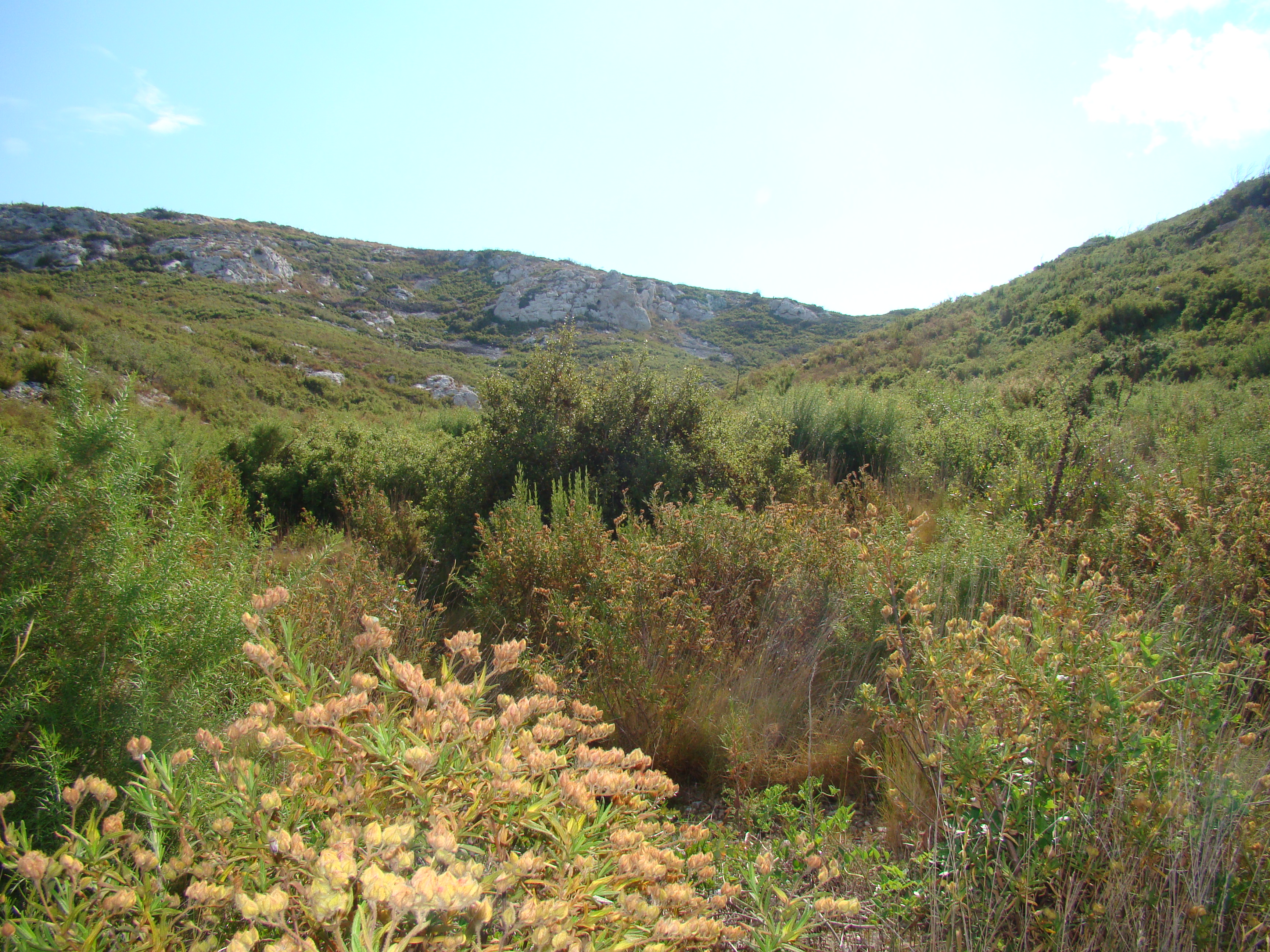 Topo rando Le Tour du Romaron, Carry-le-Rouet - photo 5