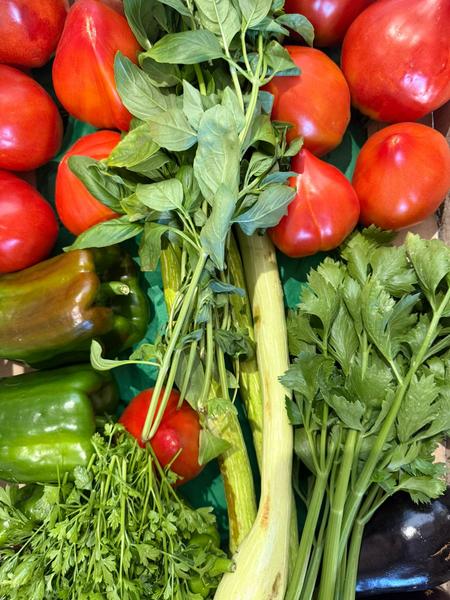 Maraichage biologique