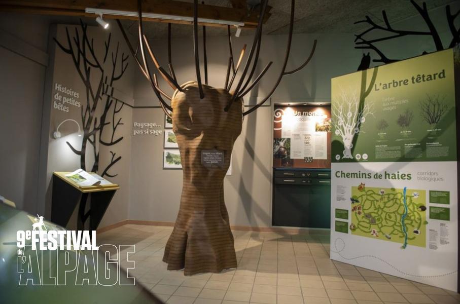 - © Le Naturographe Festival de l'Alpage : Visite commentée de l’exposition Dans le secret de la haie_Saint-Jean-Saint-Nicolas - © Le Naturographe