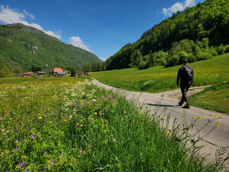 Randonnée ''Le Dorjon par Chauméty''_Mégevette