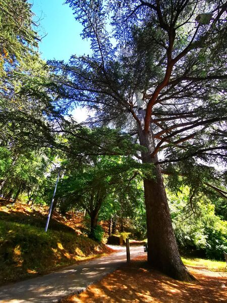 Parc Saint Roch à Collobrières