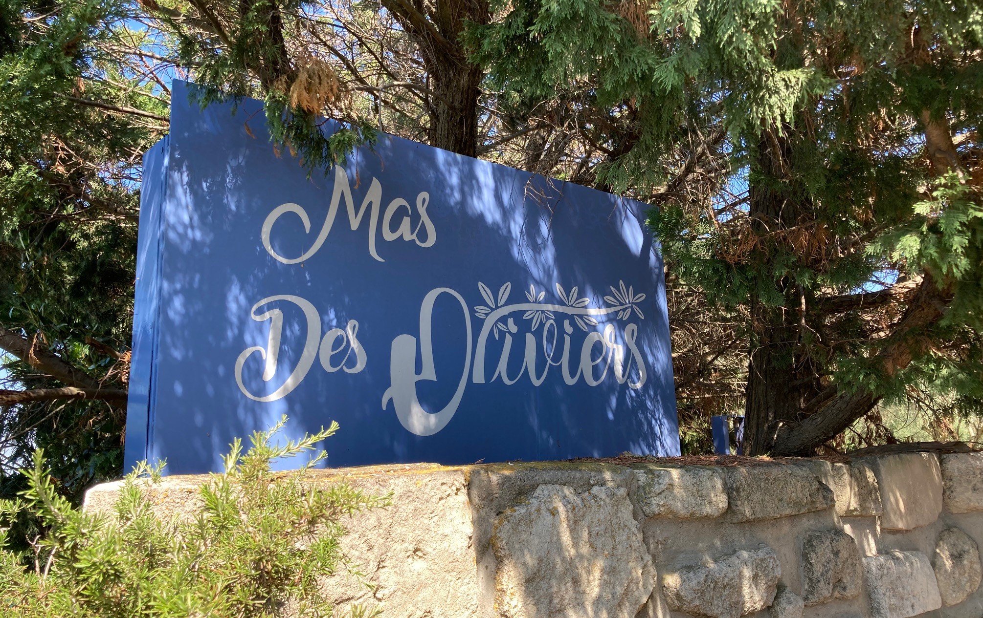 Mas des Oliviers, Arles - photo 19