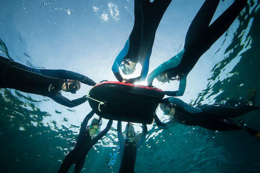 Snorkeling dans les Calanques