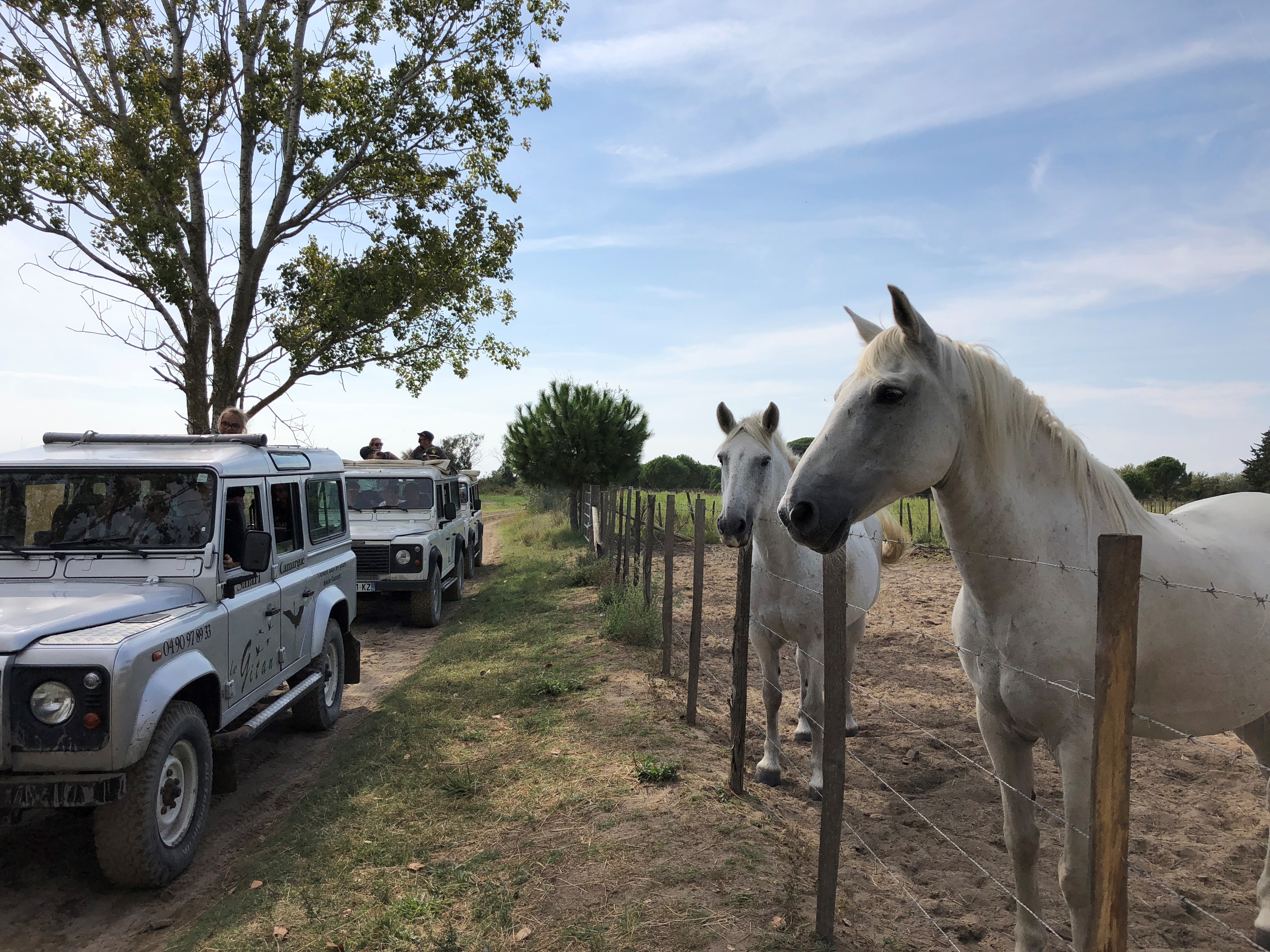 Safari Le Gitan