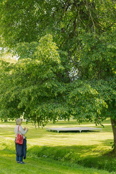 Atelier - dialogue avec l'arbre