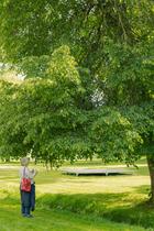 Atelier géobiologie : dialogue avec l'arbre_Saint-Martin-d'Uriage