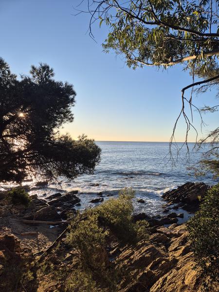 Parc des Issambres_Les Issambres (Roquebrune sur Argens)