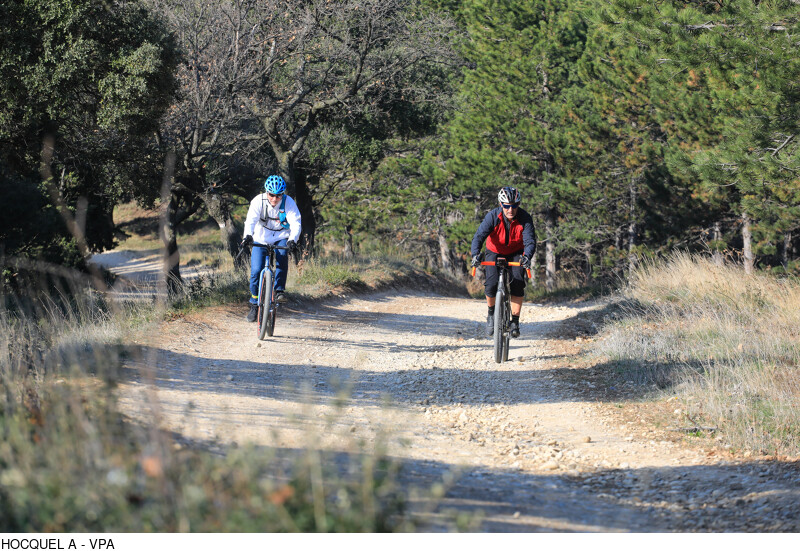 Itinéraire Gravel n°30 - Entre vignes et oliviers, Pertuis - photo 2