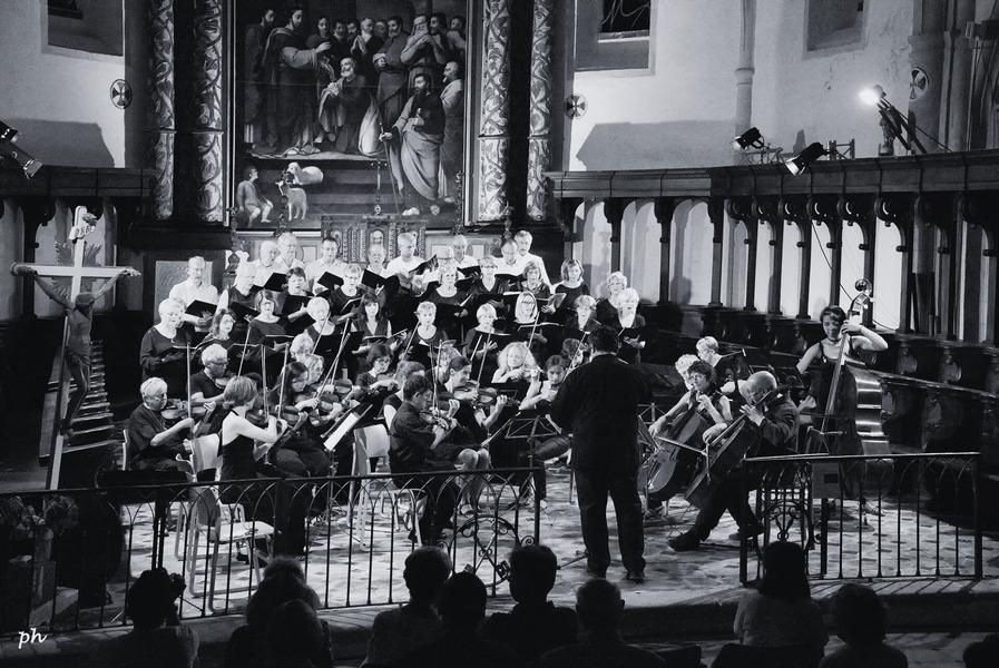 Concert de la Ste Cécile au profit de PHI Var -  Festival de Musique de Toulon 25-26_Toulon