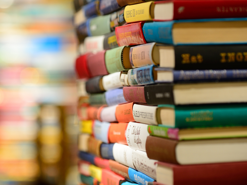 Sur les traces de Panissières - Fête du livre 2026_Panissières