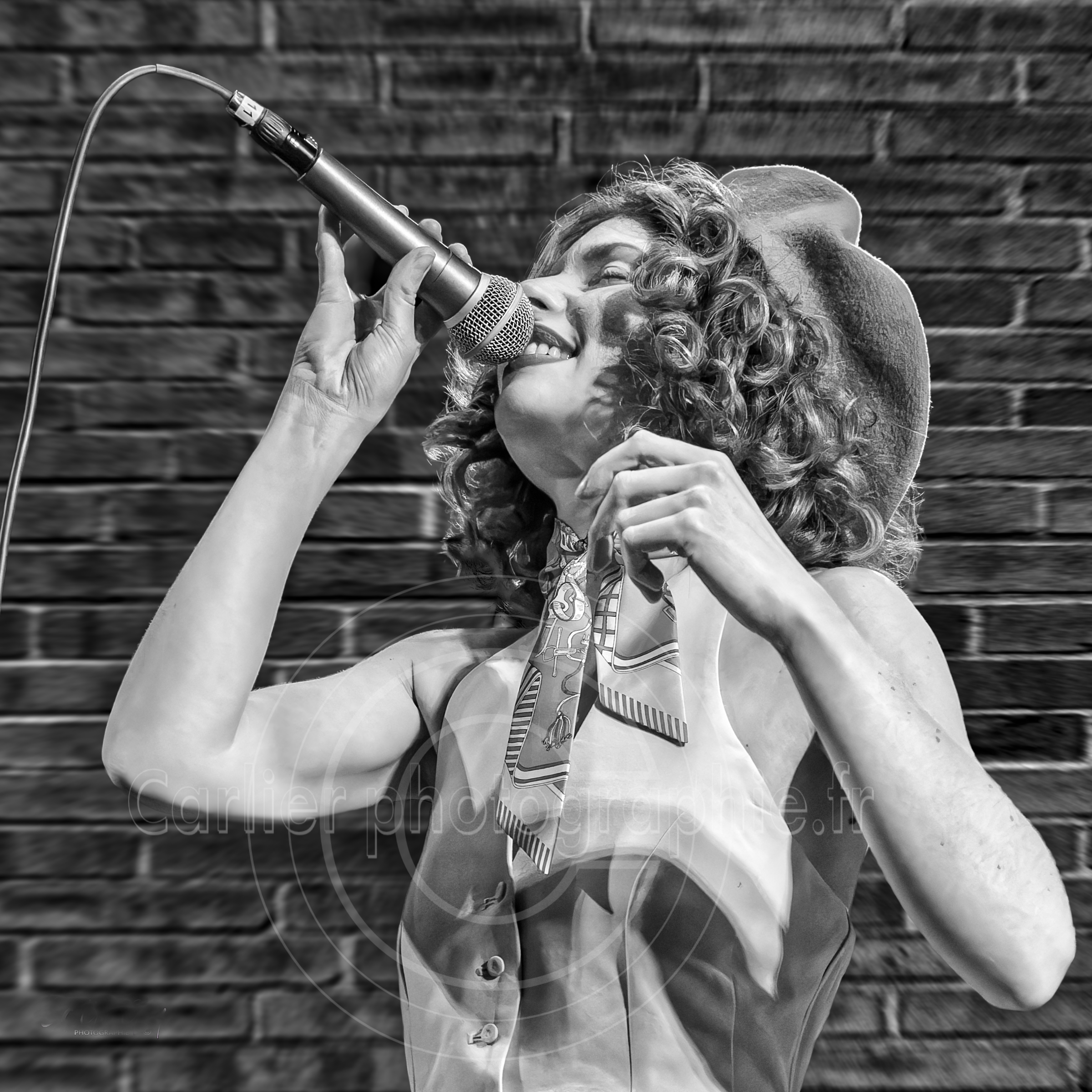 ©Carlierguyphotographie