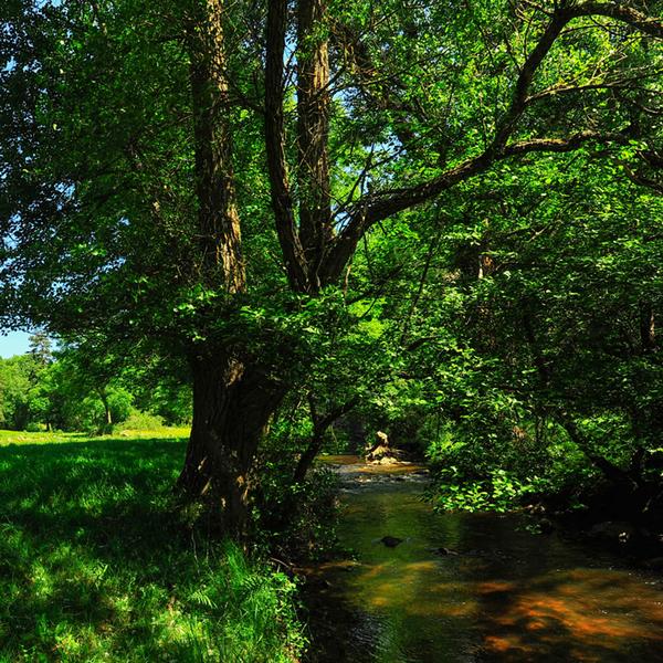 La Borne - © Norbert Dutranoy - © Norbert Dutranoy