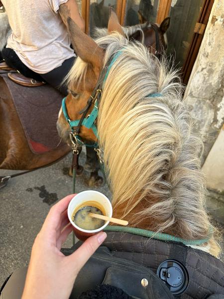 Equi'Dira - Rêve Equestre en Trièves_Cornillon-en-Trièves