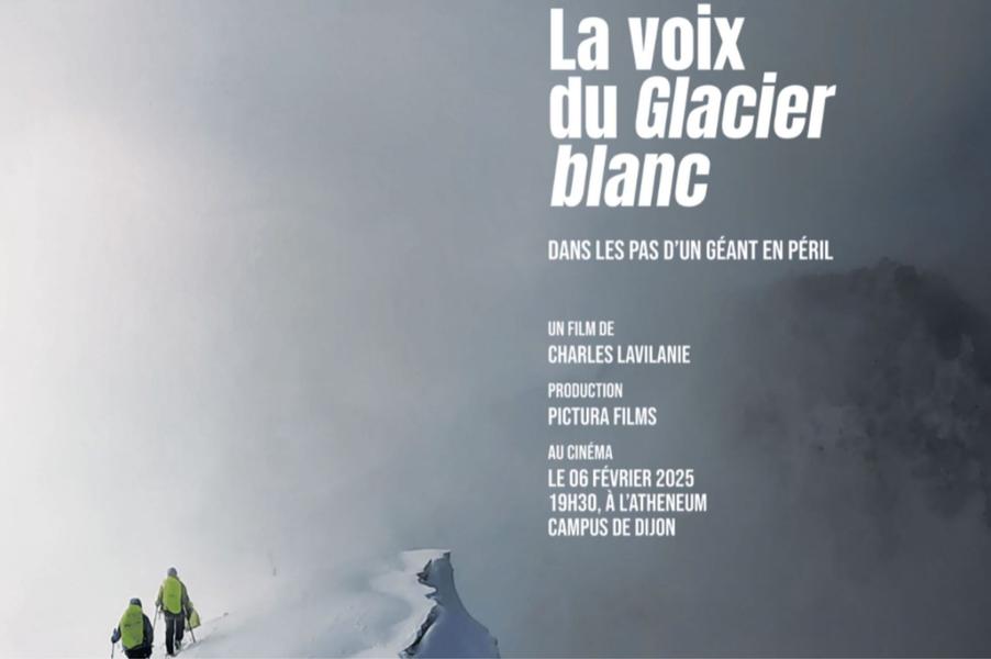 voix glacier blanc