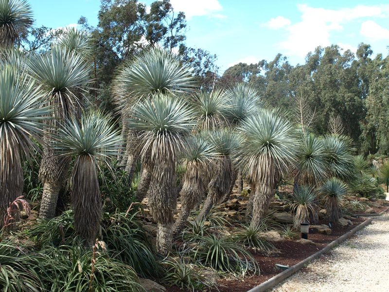 Jardin Zoologique Tropical à La Londe les Maures