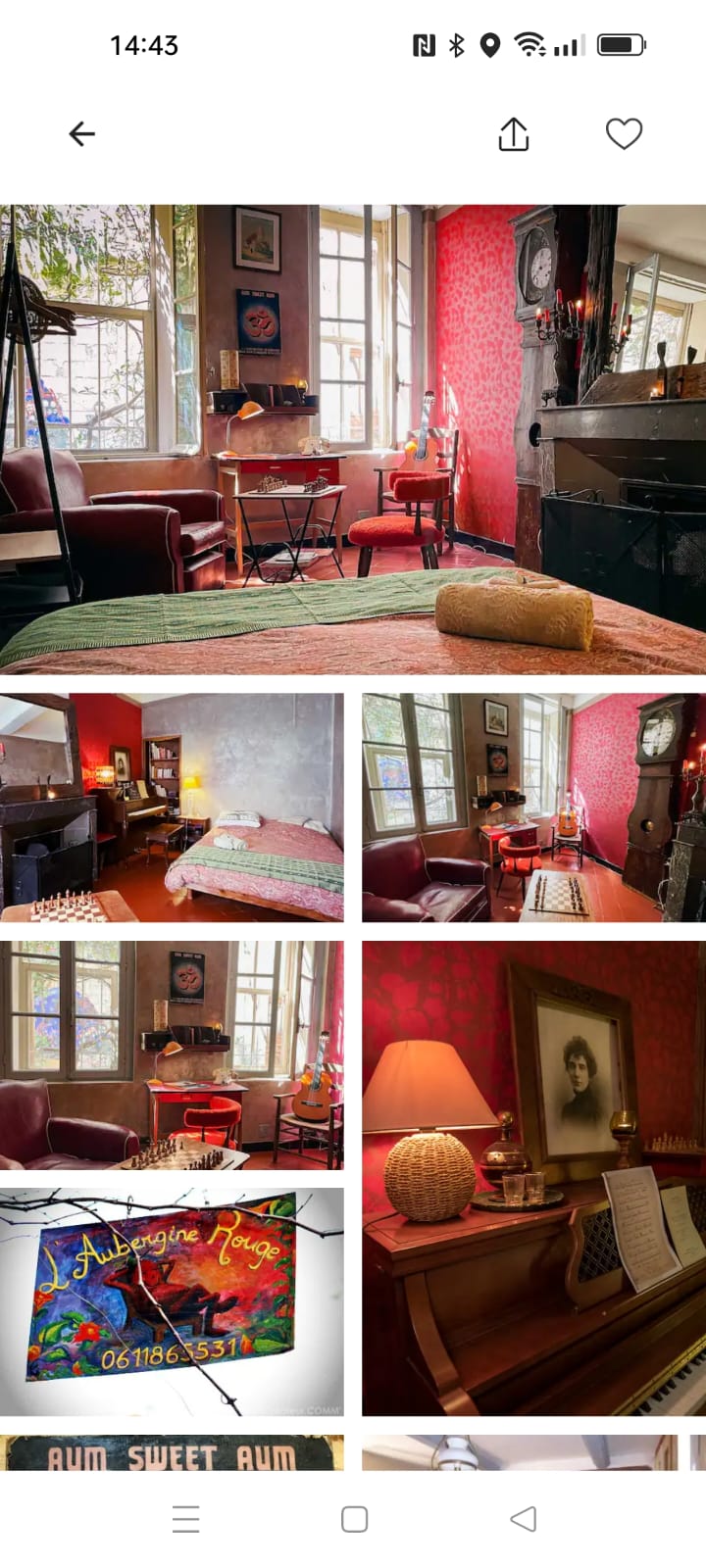 Aubergine Rouge - photo 5