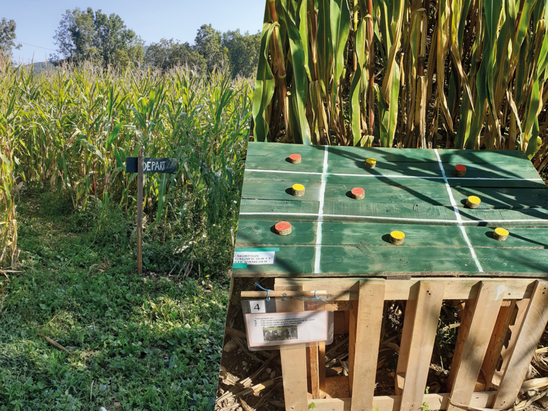 Des défis pour pimenter l'aventure des labyrinthes de la Ferme du Naray