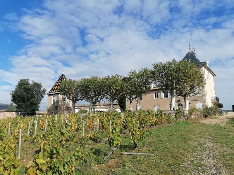 Château Portier à Romanèche-Thorins