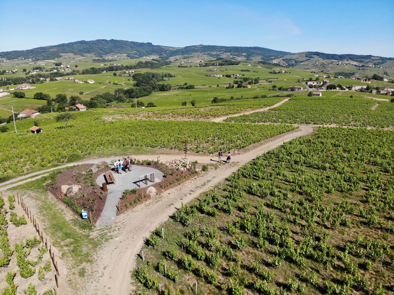 Balade Côte du Py Villié Morgon