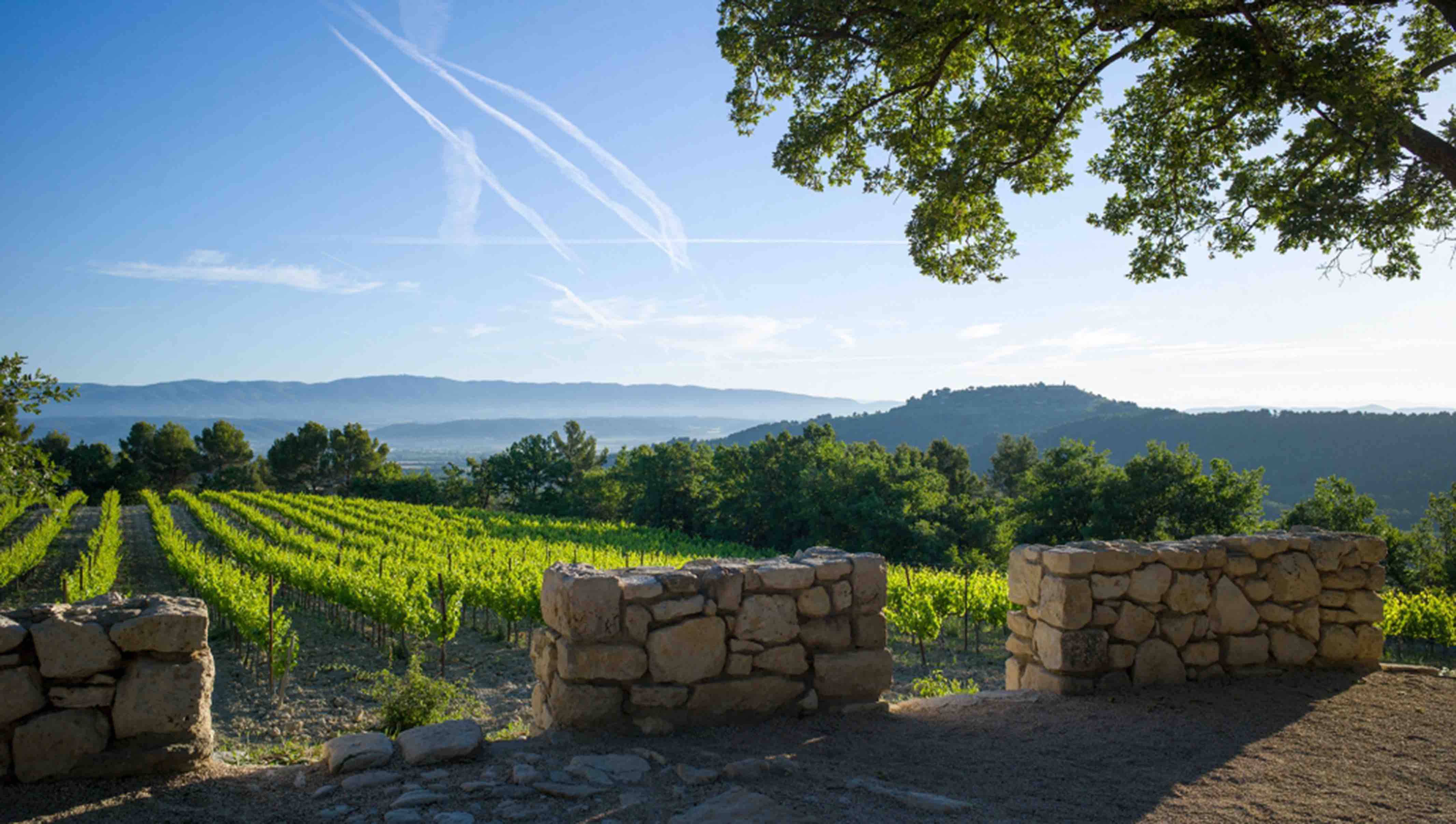 Centre d'art Tadao Ando - Château La Coste, Le Puy-Sainte-Réparade - photo 2