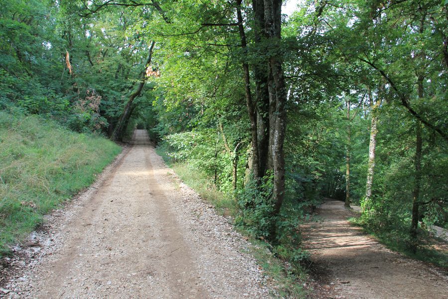 boisvidal-aixlesbainsrivieradesalpes