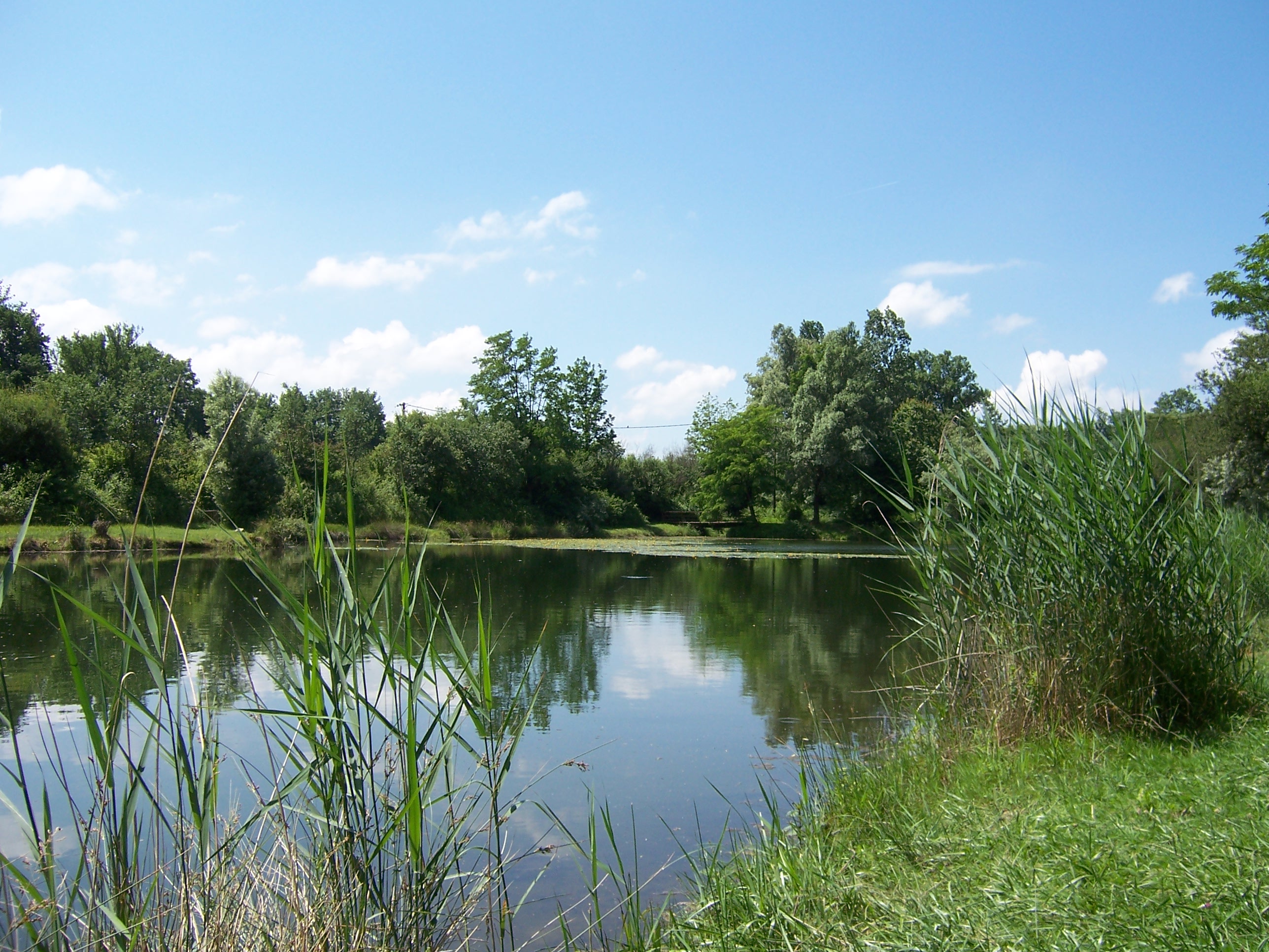 Pêche à l'étang de la Vallée Bleue