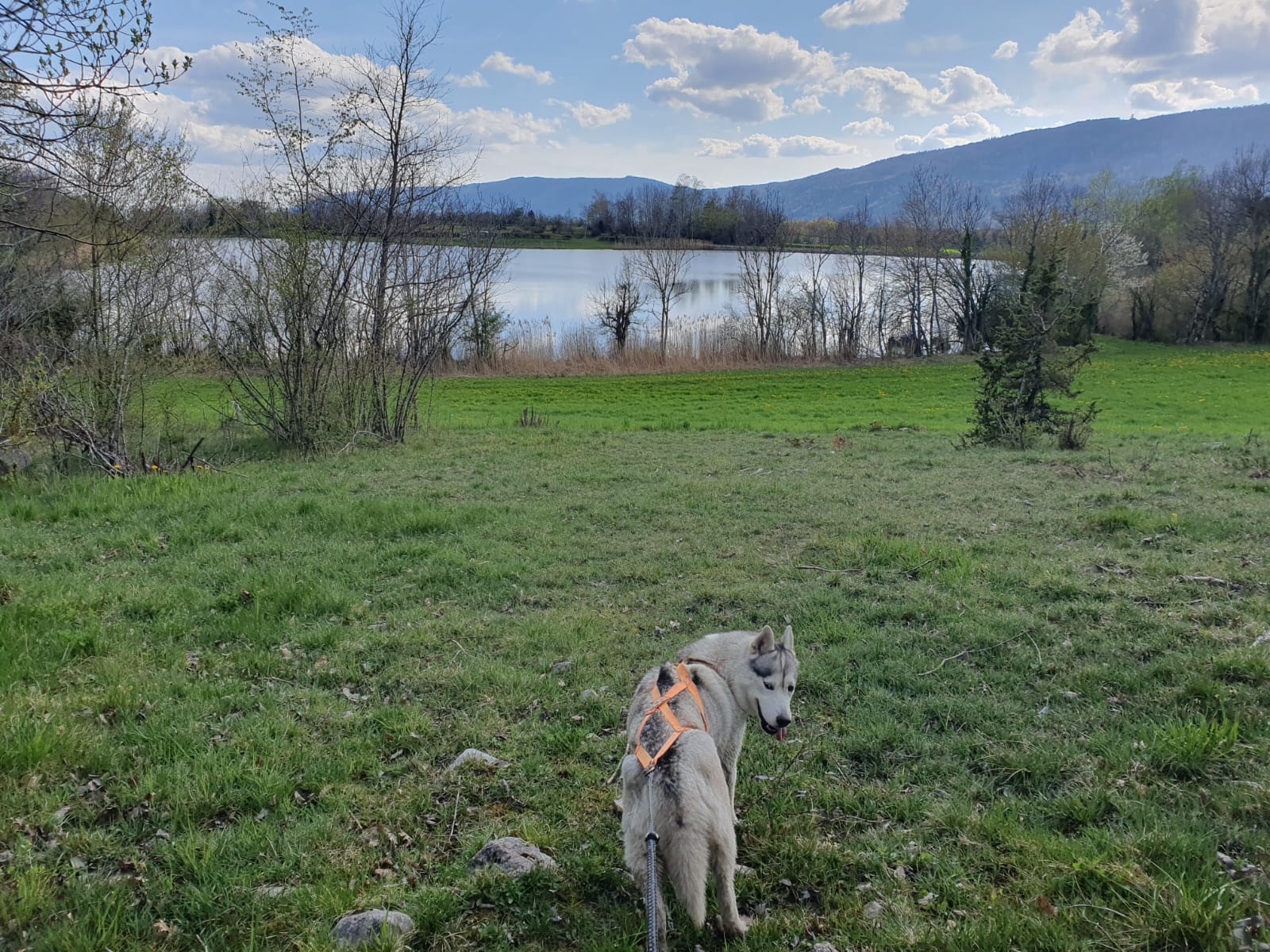 Cani-rando avec Symbiose