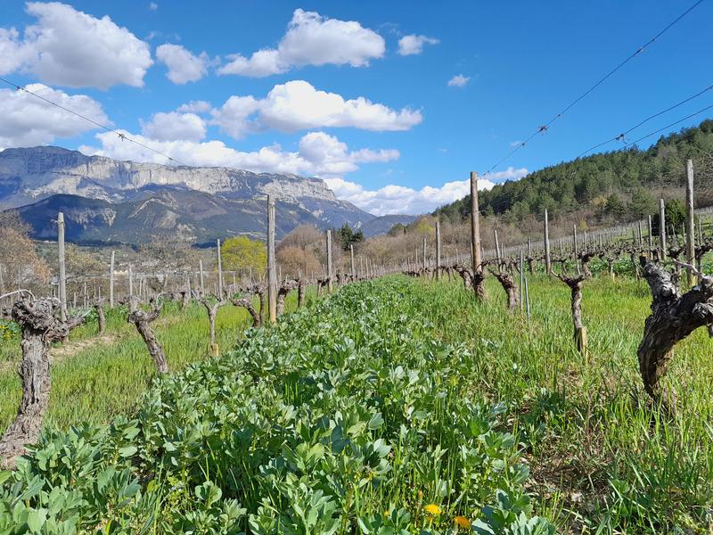 De Ferme en Ferme -Domaine du l'Ubac_Die
