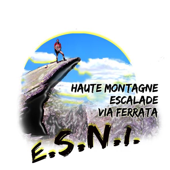ESNI-LOGO
