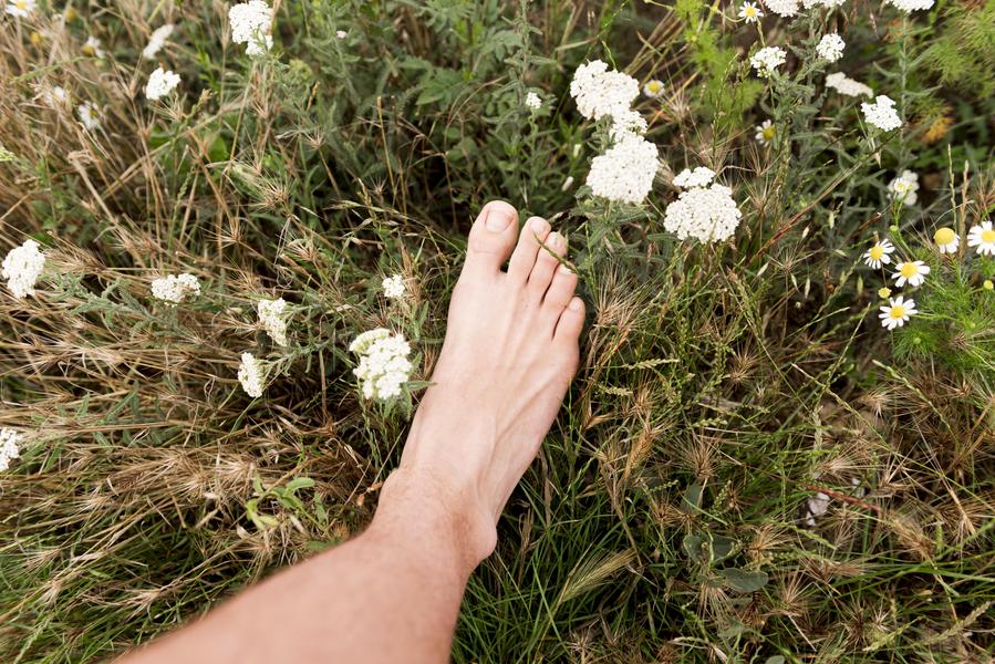 Nature & well-being walks: “Barefoot!”
