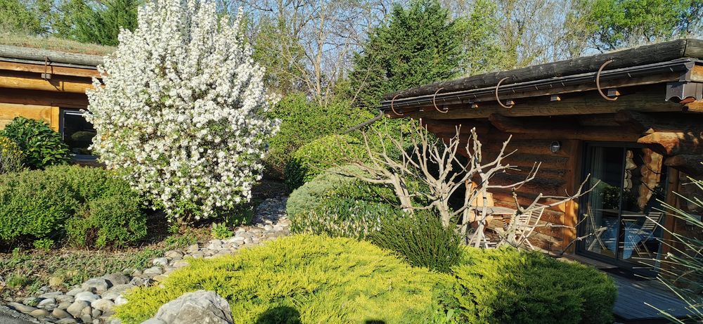 Printemps aux chalets