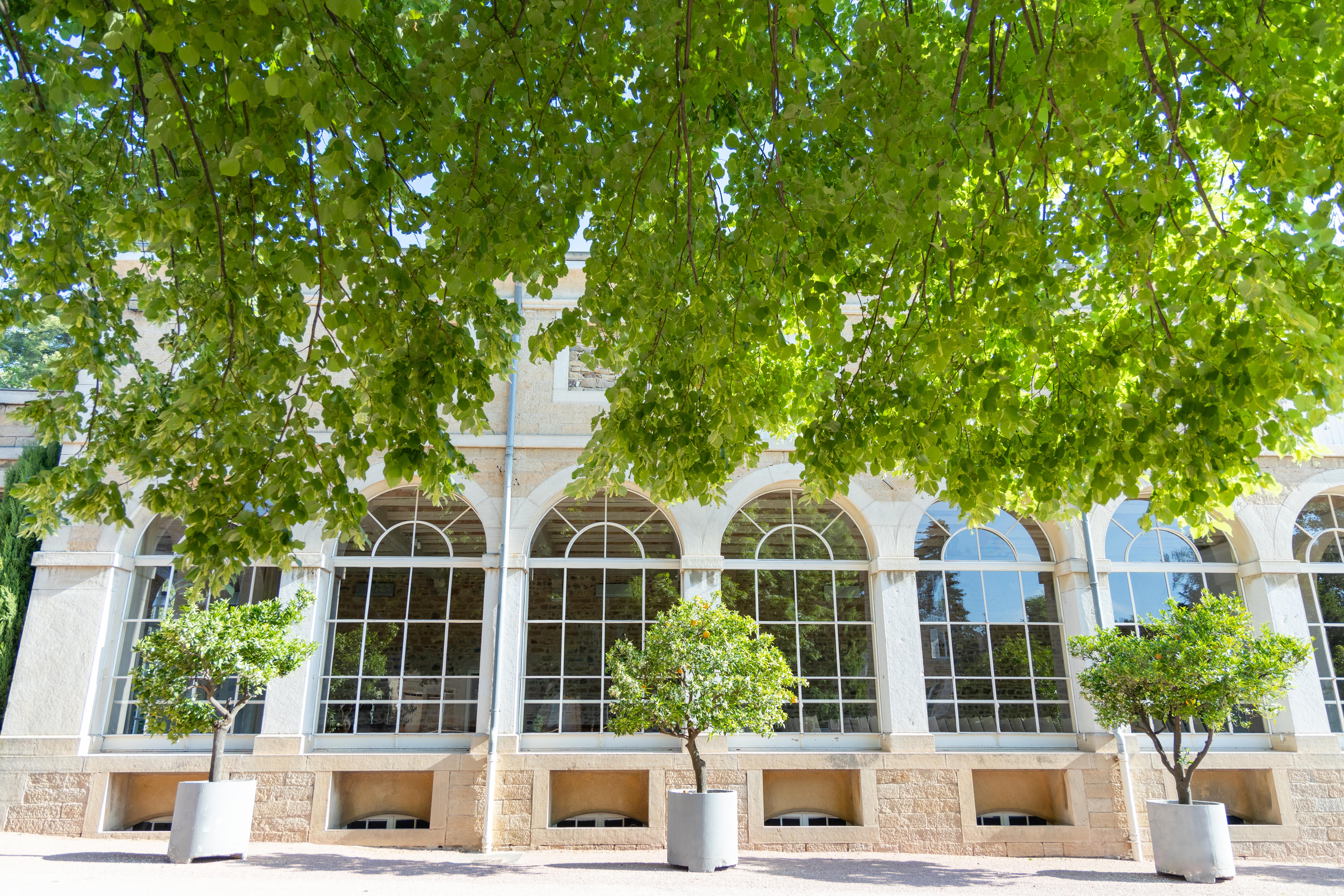 l'orangerie
