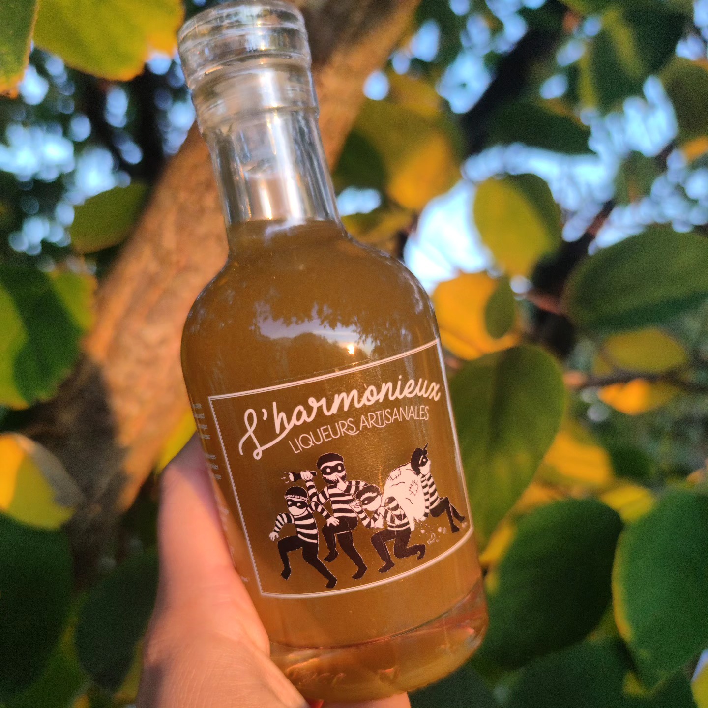 L'Harmonieux - Liqueurs artisanales — photo 2