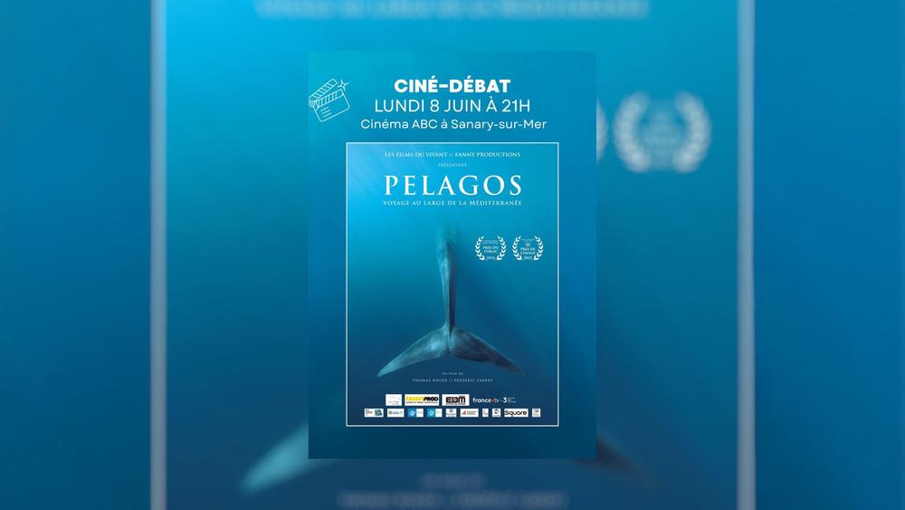 Ciné-Débat : Pelagos, voyage au large de la méditerranée