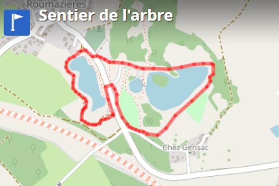 Sentier de l'arbre