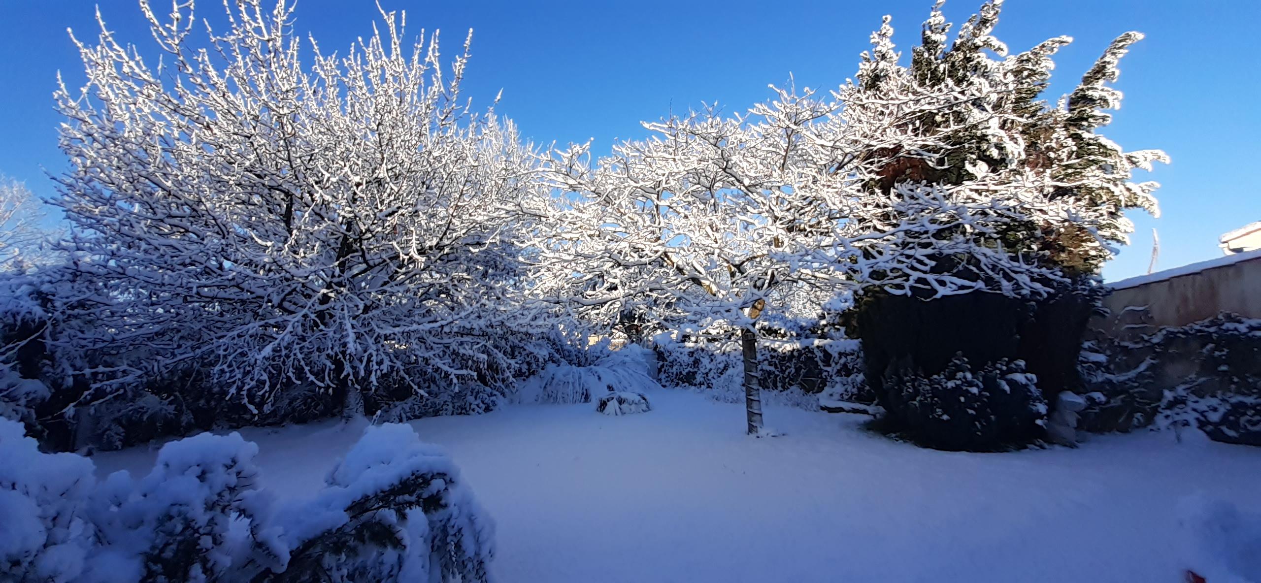 Spectacle Sarah Schwab TEST