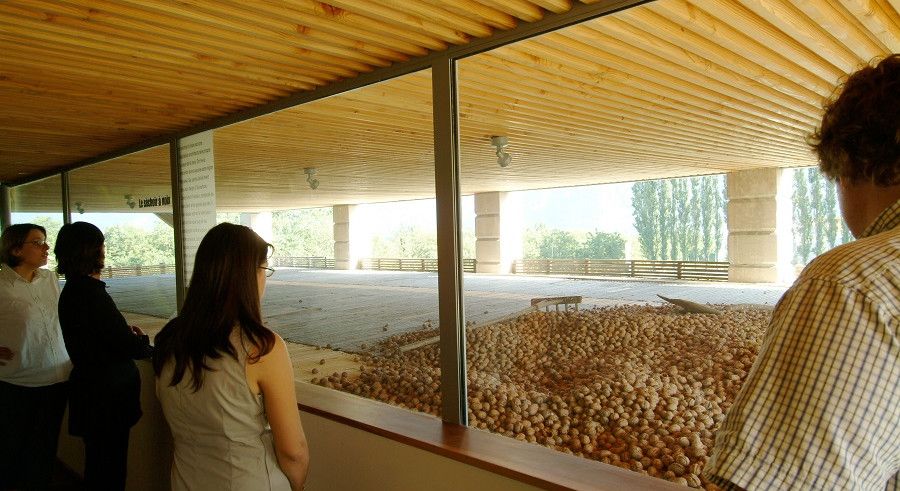 Visites guidées gourmandes en été