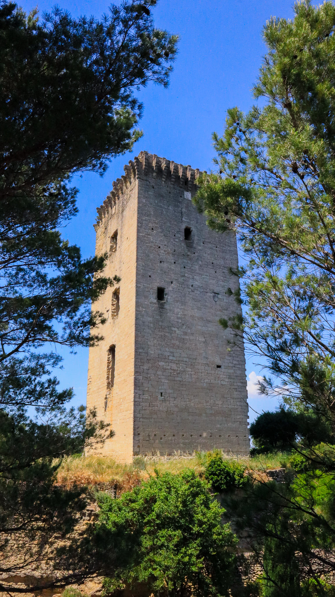 Tour Anglica, Barbentane - photo 4