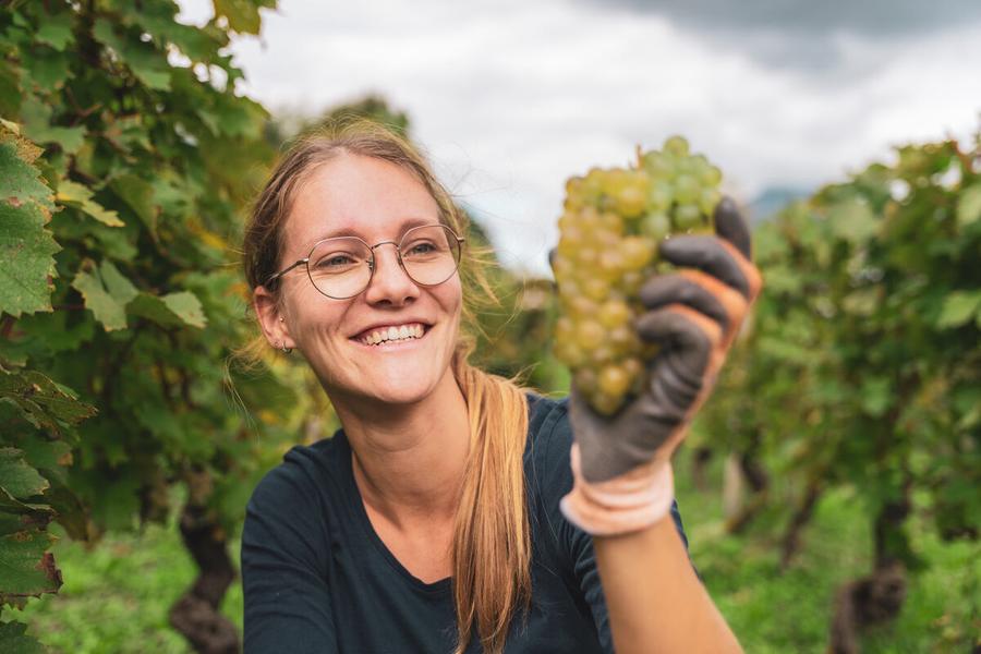 Domaine Bernard et Christophe Richel_Saint-Baldoph